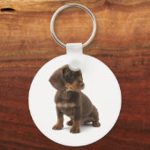 Dackel Welpe Schlüsselanhänger (Vorderseite)