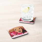 Dackel-Welpe umgeben durch Rosen Getränkeuntersetzer (Rechte Seite)