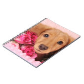 Dackel-Welpe umgeben durch Rosen Notizblock (Linke Seite)