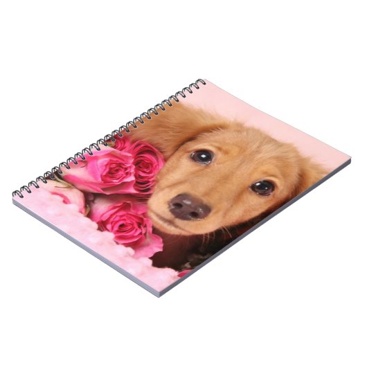 Dackel-Welpe umgeben durch Rosen Notizblock (Linke Seite)