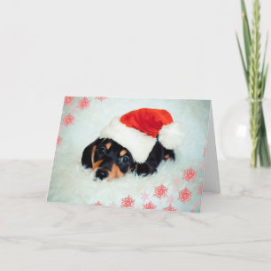 Dackel Welpe Weihnachtskarte Feiertagskarte