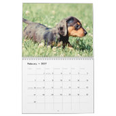 Dackel-Welpen 2014 Kalender (Feb 2027)