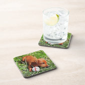 Dackel Welpen, die mit Ball-Xmas-Pop im Gras liege Getränkeuntersetzer (Rechte Seite)