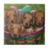 Dackel-Welpen Fliese (Vorderseite)