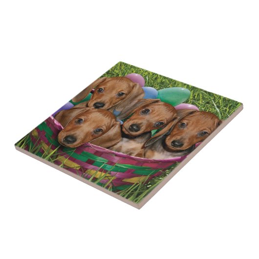 Dackel-Welpen Fliese (Seite)