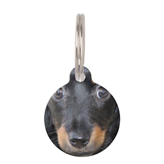 Dackel-Welpen-Hund Tiernamensmarke (Vorderseite)