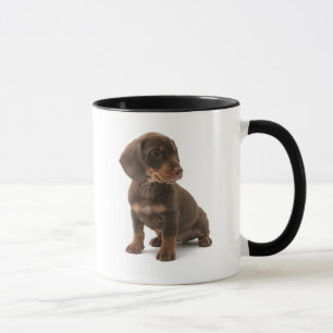 Dackel-Welpen-Kaffee-Tasse Tasse