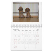 Dackel-Welpen-Kalender 2011 Kalender (Feb 2027)
