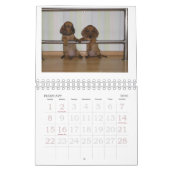 Dackel-Welpen-Kalender 2011 Kalender (Feb 2026)