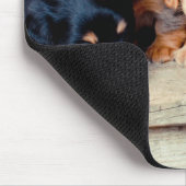 Dackel-Welpen Mousepad (Ecke)