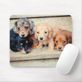 Dackel-Welpen Mousepad (Mit Mouse)