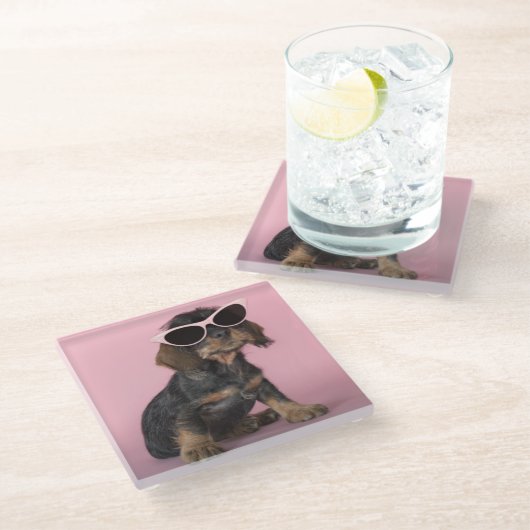 Dackel-Welpen-tragende Sonnenbrillen Glasuntersetzer (Schrägansicht)