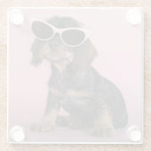 Dackel-Welpen-tragende Sonnenbrillen Glasuntersetzer (Rückseite)
