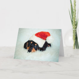 Dackel Welpen Weihnachten