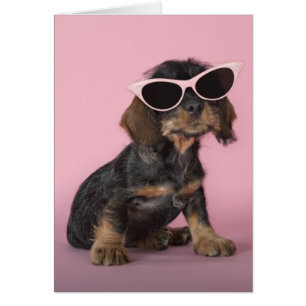 Dackel Welpenhalter-Sonnenbrille