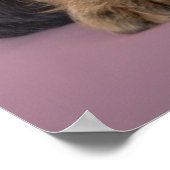 Dackel Welpenhalter-Sonnenbrille Poster (Ecke)