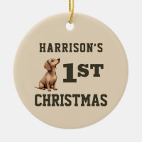 Dackel Welpenherz Schmelzen Erste Weihnachtsfeier