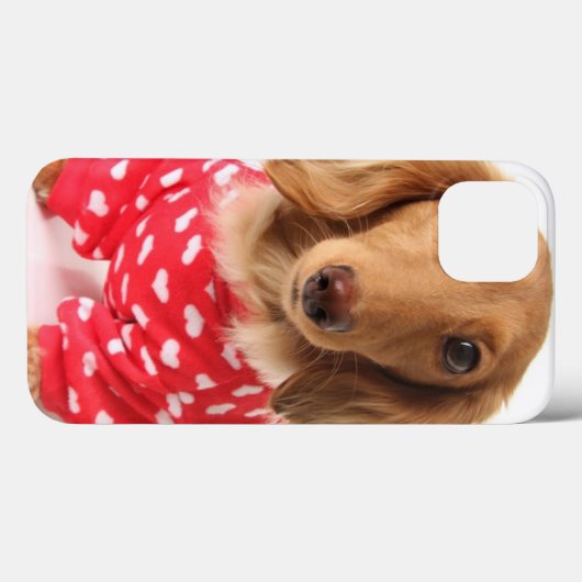 Dackel Welpenkleidung Valentinin Case-Mate iPhone Hülle (Rückseite (Horizontal))