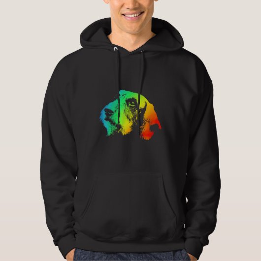 Dackel Wire Haar farbenfroh Regenbogen Retro Hoodie (Vorderseite)