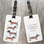 Dackel Wurst Hund Individuelle Name Gepäckanhänger<br><div class="desc">Niedliche kleine Dackel Würstchen oder Dackel Hunde in Wollstrickbekleidung. Ideal für Hundeliebhaber und Hundeschlittengänger. Ändern Sie die Kontaktdaten auf der Rückseite.</div>