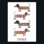 Dackel Wurst Hund Personalisiert Poster<br><div class="desc">Niedliche kleine Dackel Würstchen oder Dackel Hunde in Wollstrickbekleidung. Ideal für Hundeliebhaber und Hundeschlittengänger. Ändern Sie den Namen zum Anpassen. Originelle Kunst von Nic Squirrell.</div>