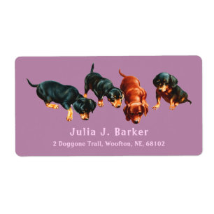 Dackel Wurst Hund Wiener Welpen Mauve Rosa