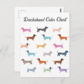 Dackel Wurst Hunde Farbdiagramm Funny Postkarte (Vorne/Hinten)