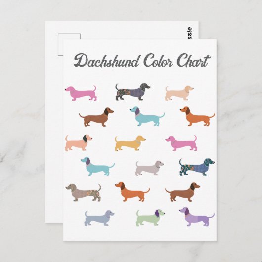 Dackel Wurst Hunde Farbdiagramm Funny Postkarte (Vorne/Hinten)