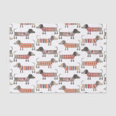 Dackel Wursthund Seidenpapier (Vorderseite)