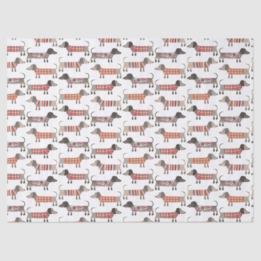 Dackel Wursthund Seidenpapier (Vorderseite)