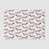 Dackel Wursthund Seidenpapier (Vorderseite)