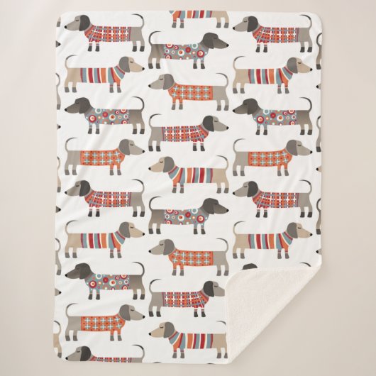 Dackel Wursthund Sherpadecke (Vorderseite)