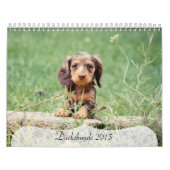 Dackeln 2015 kalender (Titelbild)