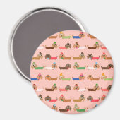 Dackeln auf rosa magnet (Vorderseite/Rückseite)