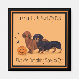 Dackeln Halloween Magnet