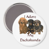 Dackeln I Adore Magnet (Vorderseite/Rückseite)