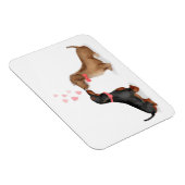 Dackeln in Liebe Kühlschrankmagnet (zwei Jungen) Magnet (Rechte Seite)