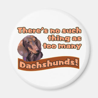 DACKELN MAGNET