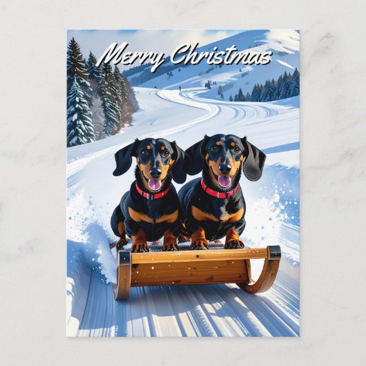 Dackeln Sled Christmas Postkarte (Vorderseite)