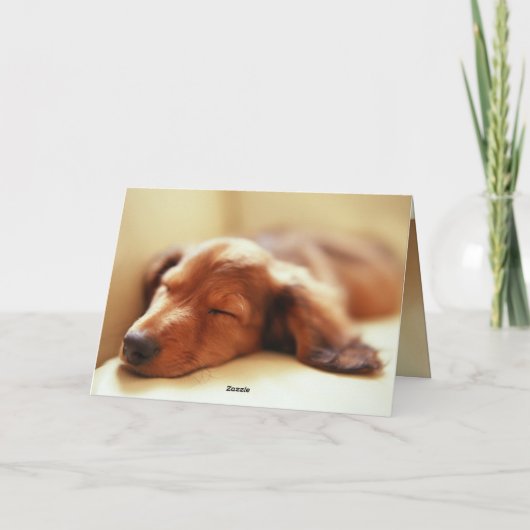 Dackelschlafen Karte (Rückseite)