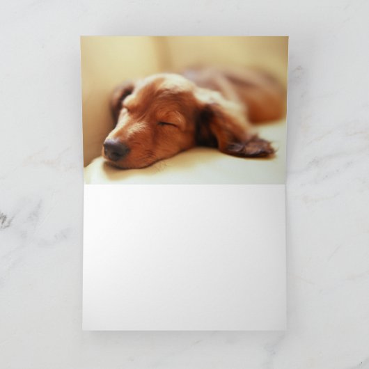 Dackelschlafen Karte (Innenseite)