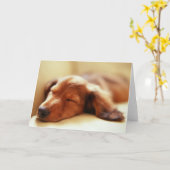 Dackelschlafen Karte (Gelbe Blume)