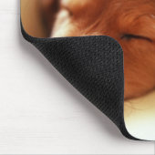 Dackelschlafen Mousepad (Ecke)