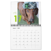 DackelWandkalender 2012 - kleines chumley Kalender (Mär 2027)