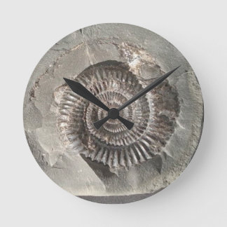 Dactylioceras Ammonit im Felsen Runde Wanduhr
