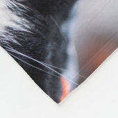 Daddy cat since Photo cute cat Fleecedecke (Ecke)