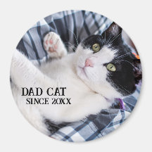 Daddy cat since Photo cute cat