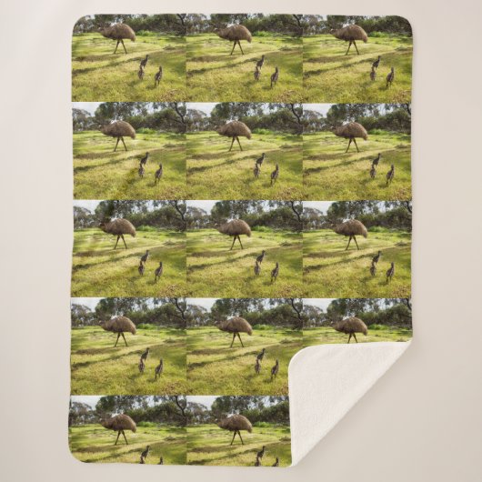 Daddy Emu mit seinen Chicks, Sherpadecke (Vorderseite)