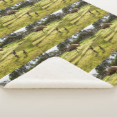 Daddy Emu mit seinen Chicks, Sherpadecke (3/4)