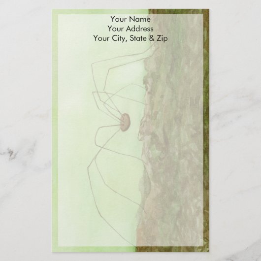 Daddy Long Legs Briefpapier (Vorderseite)